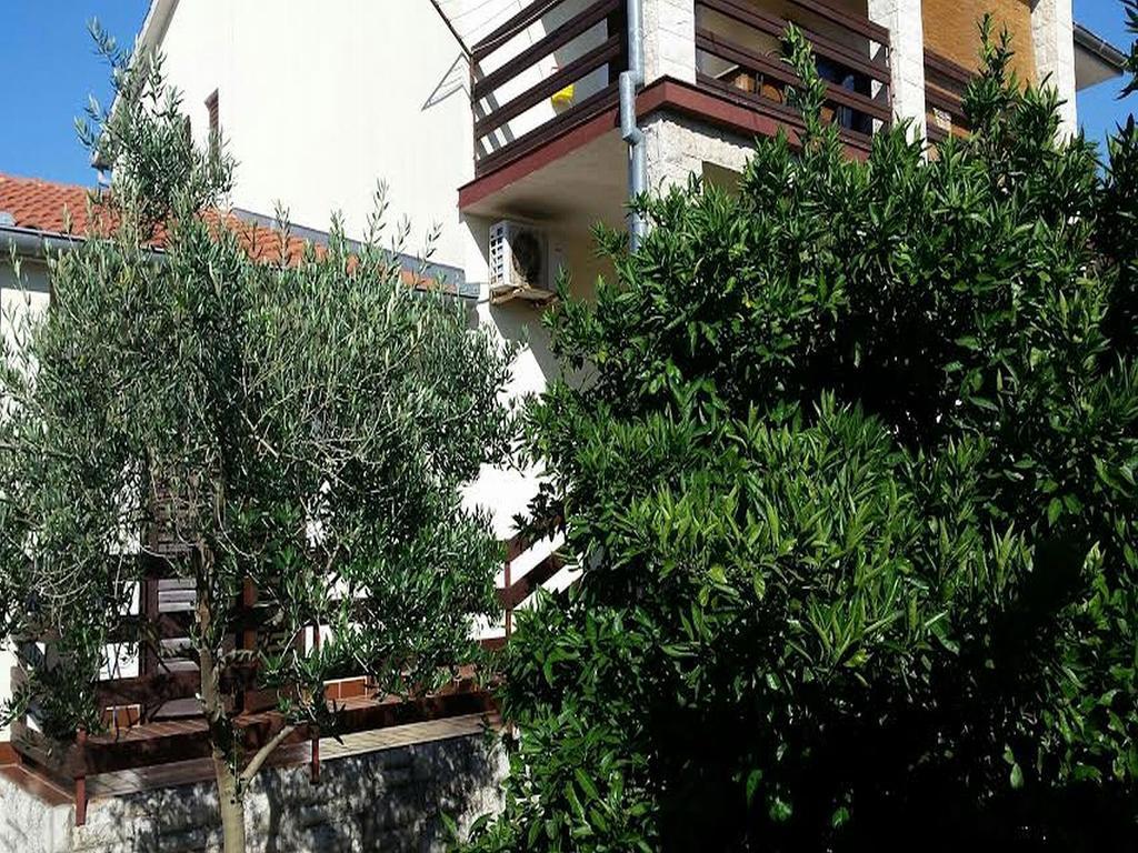 Apartment Branka