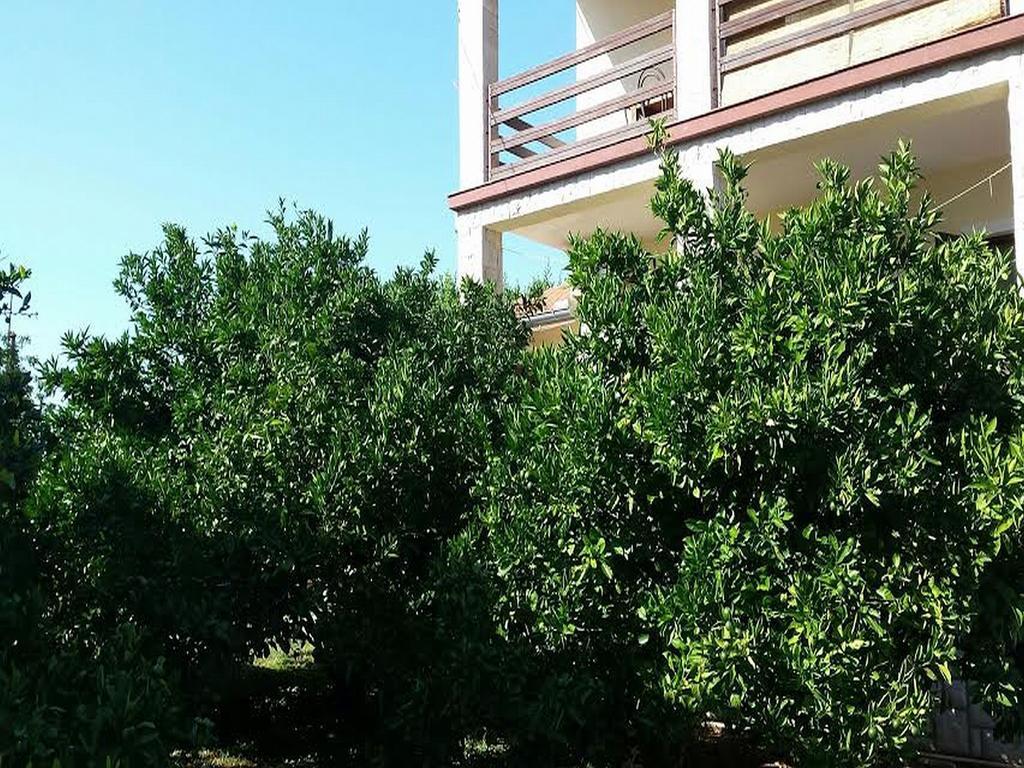 Apartma Branka